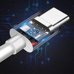 2 Pack Wired USB-C Earbuds with Mic & Volume Control