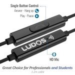 Ludos FEROX USB-C Earbuds for iPhone and Samsung