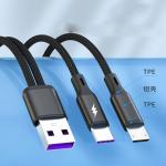 2 in 1 Fast Charging USB-C and Micro USB Cable