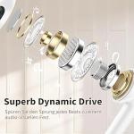 Wired USB-C Earphones with Mic and Volume Control