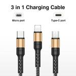 RAVIAD 3-in-1 USB-C Multi Charger Cable 1.2M