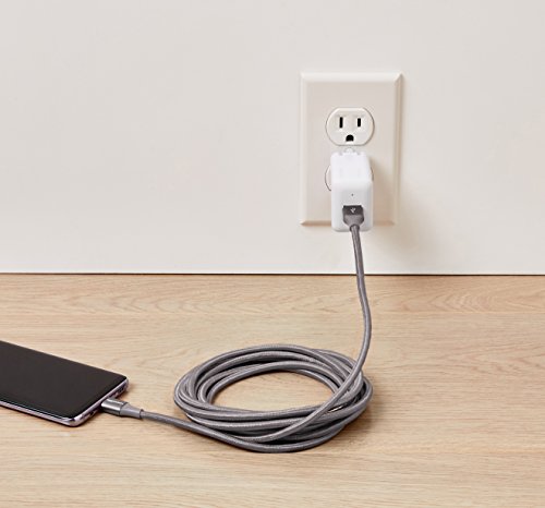 10ft Double Braided USB-C to Type-A Cable