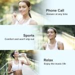 USB-C Earphones with Microphone and Noise Cancelling