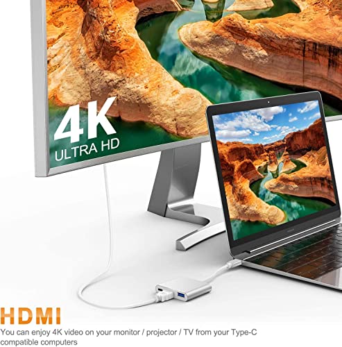 USB-C 3-in-1 HDMI Adapter with USB 3.0