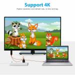 USB-C to HDMI Adapter for Android Devices