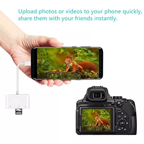 3-in-1 USB-C Card Reader & Adapter