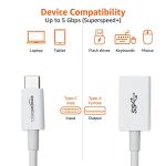 White USB-C to USB 3.1 Adapter