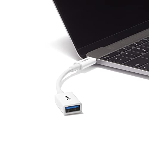 White USB-C to USB 3.1 Adapter