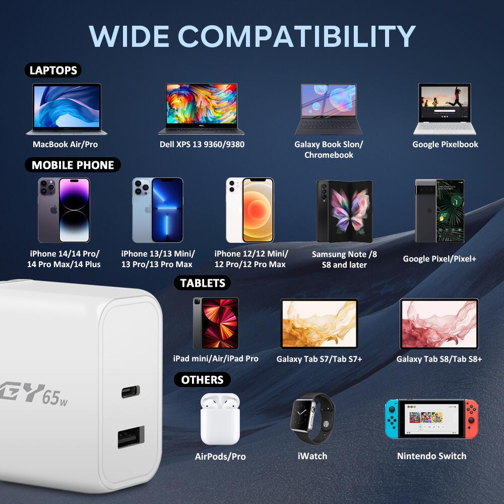 65W 2-Port USB-C Wall Charger (White)