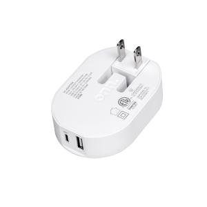 32W Dual-Port USB-C Wall Charger