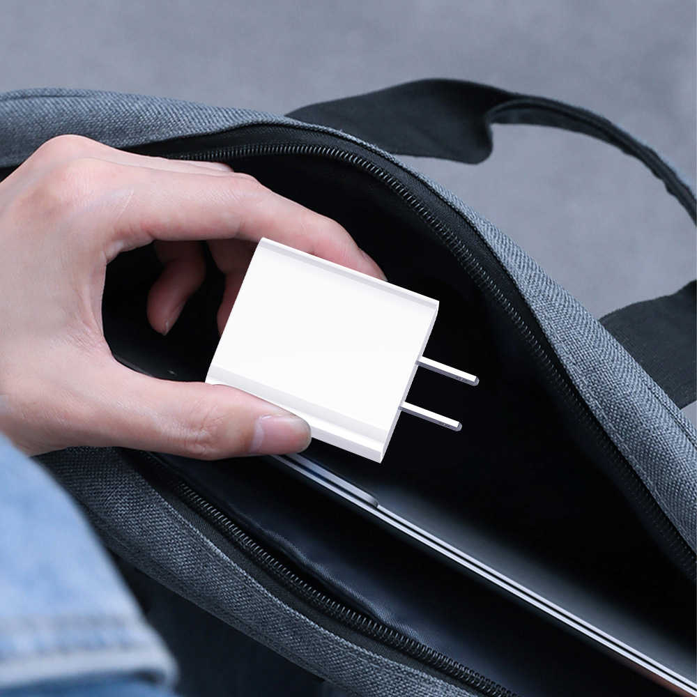 20W USB-C PD Wall Charger for iPhone and iPad