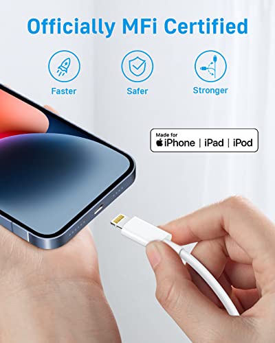 MFi-Certified 2-Pack 20W Charger with 10ft Cable