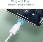 USB C HiFi Stereo Earphones with Mic & Control