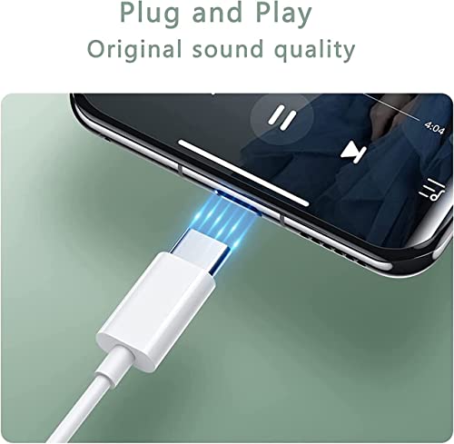 USB C HiFi Stereo Earphones with Mic & Control