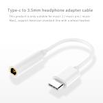 USB-C to 3.5mm headphone adapter