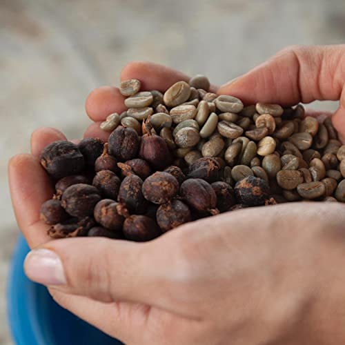 Gourmet 100% Colombian Arabica Medium Roast Coffee, 16 oz