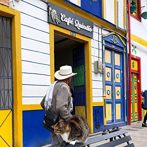 Gourmet 100% Colombian Arabica Medium Roast Coffee, 16 oz