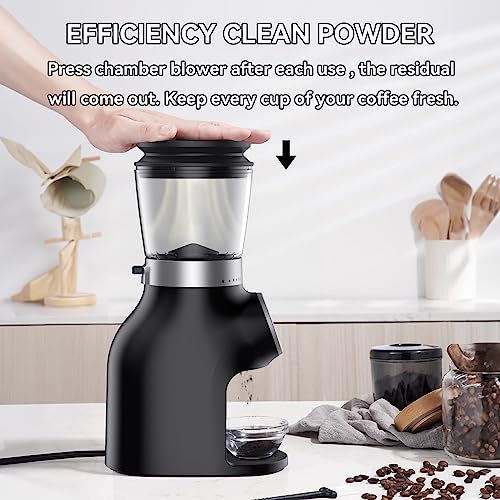 BEEONE Conical Burr Coffee Grinder with Digital Control, Espresso Grinder with 31 Precise Settings for 1-10 Cups, Coffee Grinder Electric with Time Display and Countdown Display, Black