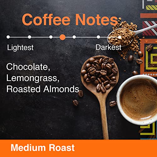 Brazilian Santos Medium Roast Arabica Coffee Beans - 12 oz