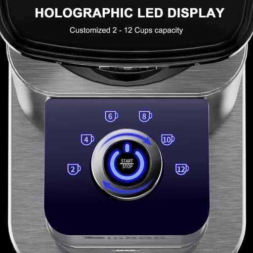 Anti-static Conical Burr Coffee Grinder with 48 Grind Settings, binROC Adjustable Electric Coffee Bean Grinder for 2-12 Cups (Stainless Steel)