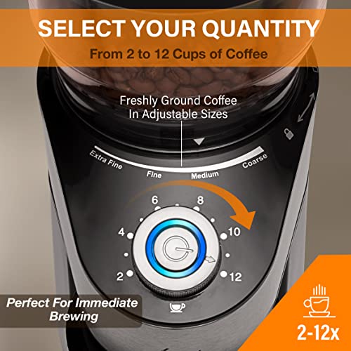 Conical Burr Coffee Grinder, Anti-Static Electric Coffee Bean Grinder for Mess-Free Use, Automatic Coffee Grinder with 35 Settings for Espresso, French Press, Pour Over and Drip Brewing