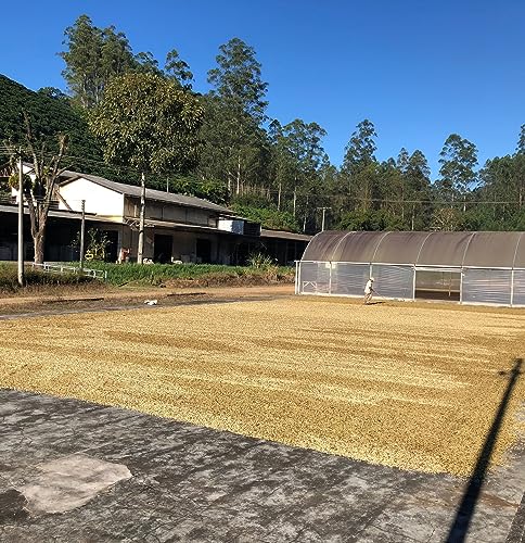 Brazilian Black Tucano Whole Bean Medium Roast Coffee