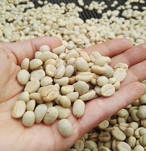 Brazilian Black Tucano Whole Bean Medium Roast Coffee