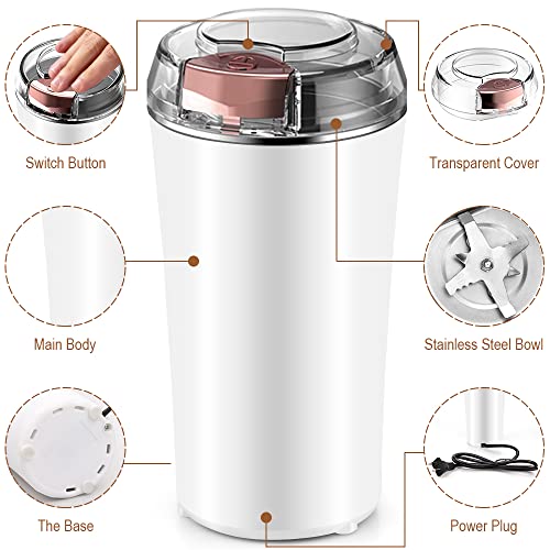 Finphoon Coffee Grinder Electric, Spice Grinder, Coffee Bean Herb Grinder with Integrated Brush Spoon, One-touch Push-Button Stainless Steel Small Grinding for Peanut Grains (WHITE)