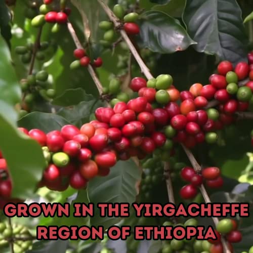 Veteran Owned Company Ethiopian Coffee, Single Origin
