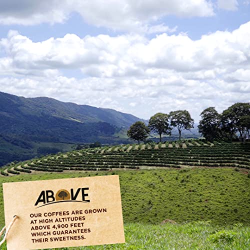 4th Gen Single Origin Brazilian Coffee Beans - Ethically Sourced