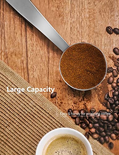 Stainless Steel Coffee Scoop and Tamping Tool Combo