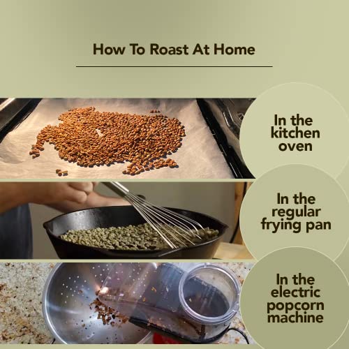 Single Origin Unroasted Green Coffee Beans - Brazil Blend