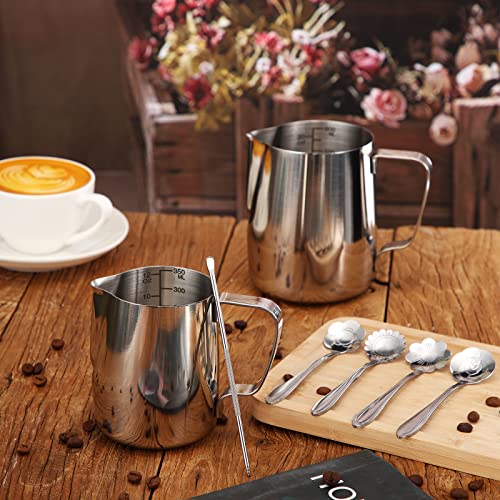 Stainless Steel Milk Frother Set with Extras