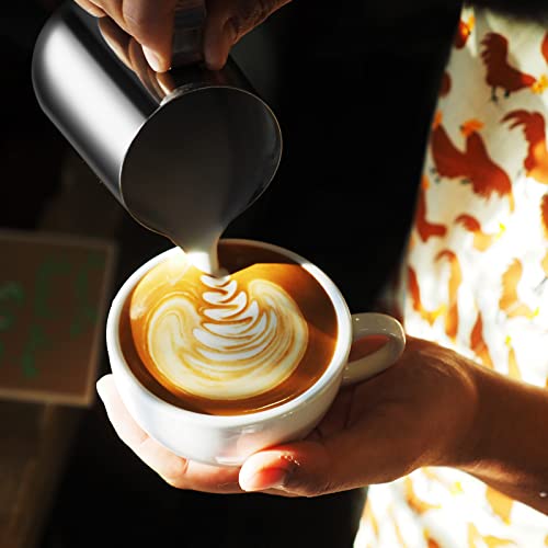 Stainless Steel Milk Frother Set with Extras