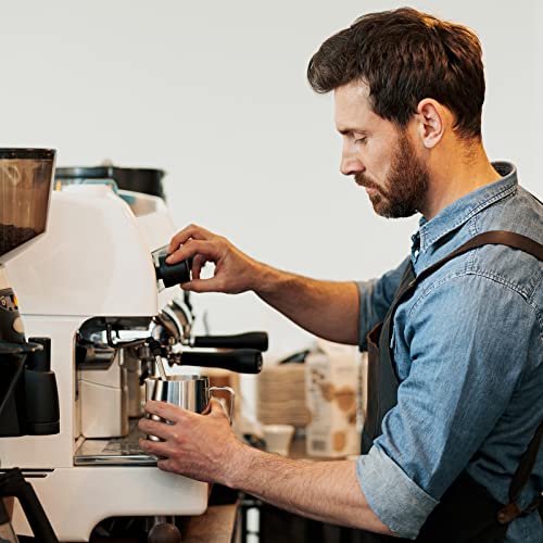 Stainless Steel Milk Frother Set with Extras