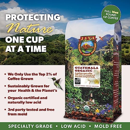 Organic Guatemala Single Origin Medium Roast Whole Bean