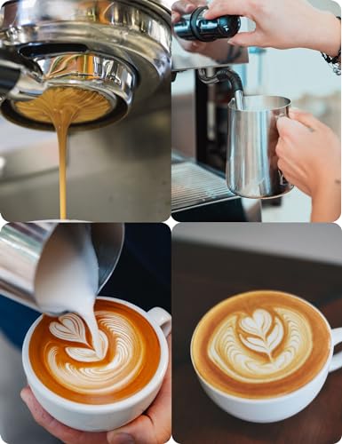 12oz Stainless Steel Milk Frothing Pitcher and Accessories