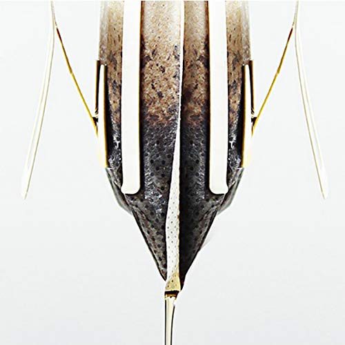 100Pcs Portable Coffee Filter Paper Bags - Hanging Ear