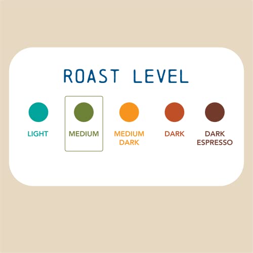 Boarding Pass Coffee Brazilian Specialty Dark Roast Blend