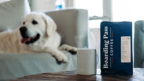 Boarding Pass Coffee Brazilian Specialty Dark Roast Blend