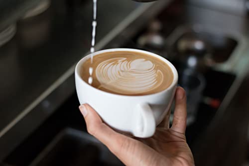 Medium Roast Whole Bean Coffee - Brazil Terra Alta