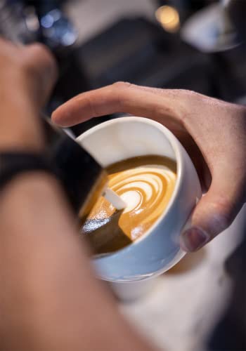 Medium Roast Whole Bean Coffee - Brazil Terra Alta