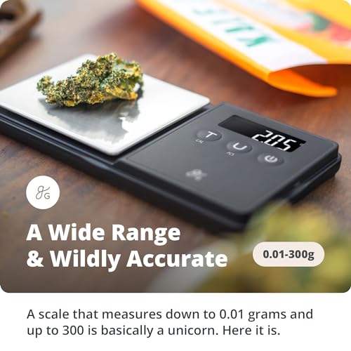 Digital Espresso & Coffee Scale - 300g Precision