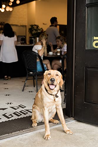 Medium Roast Whole Bean Coffee - Brazil Terra Alta