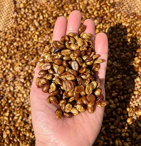 Brazilian Black Tucano Specialty Coffee - Medium Roast