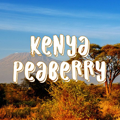 Kenya Peaberry Whole Bean Coffee, Single Origin 16oz