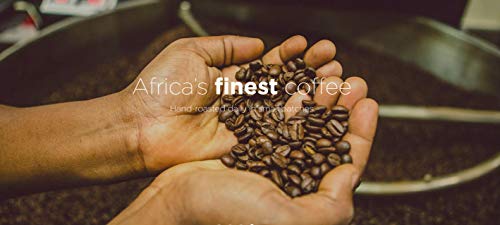Kenya AA Coffee Beans - Fair Trade Quality