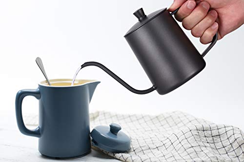 Black Stainless Steel Gooseneck Pour Over Coffee Kettle