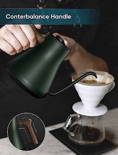 INTASTING Electric Gooseneck Kettle, ±1℉ Temp Control, Quick Heating