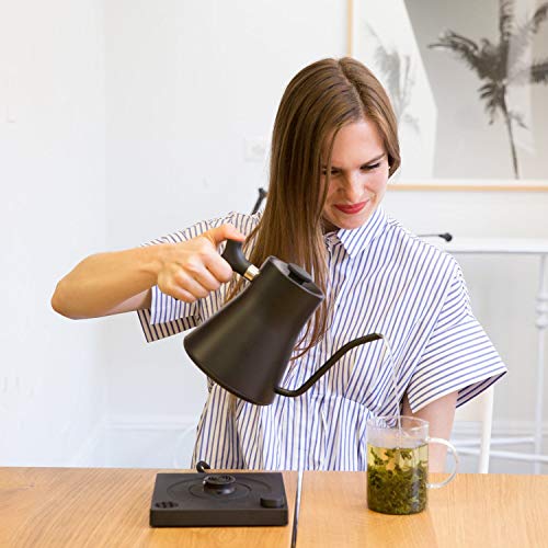 Fellow Stagg EKG Electric Gooseneck Kettle - Stainless Steel
